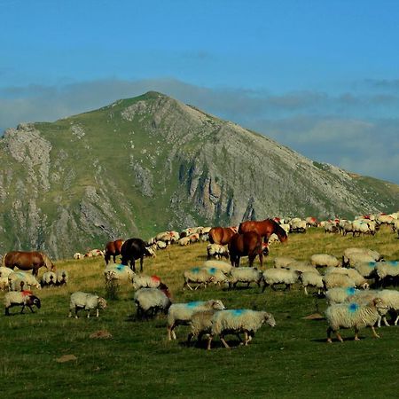 Hostal Mendilatz Орбайсета Экстерьер фото
