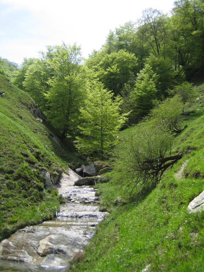 Hostal Mendilatz Орбайсета Экстерьер фото
